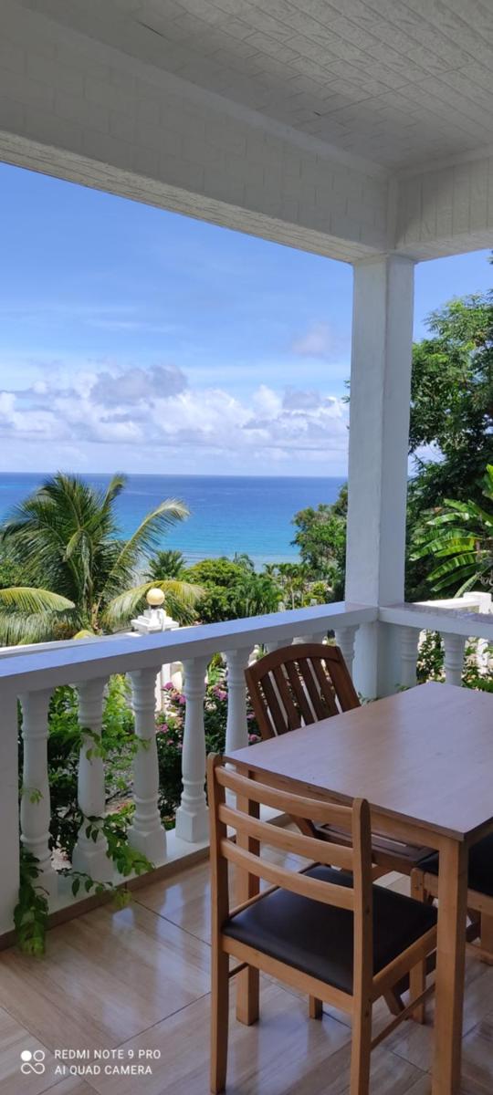 Seychelles Yellow Petals - Housity