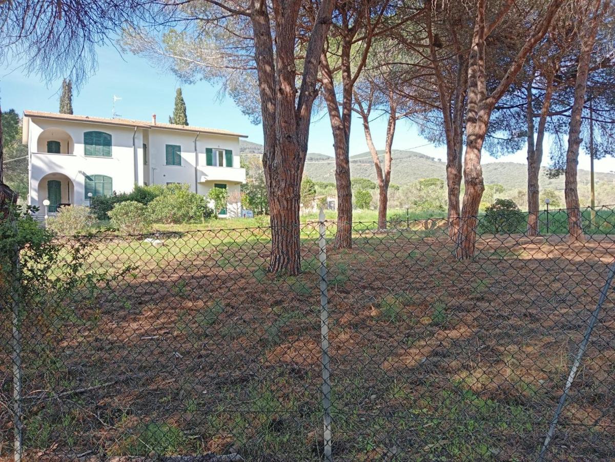 Riccio di Mare - Housity