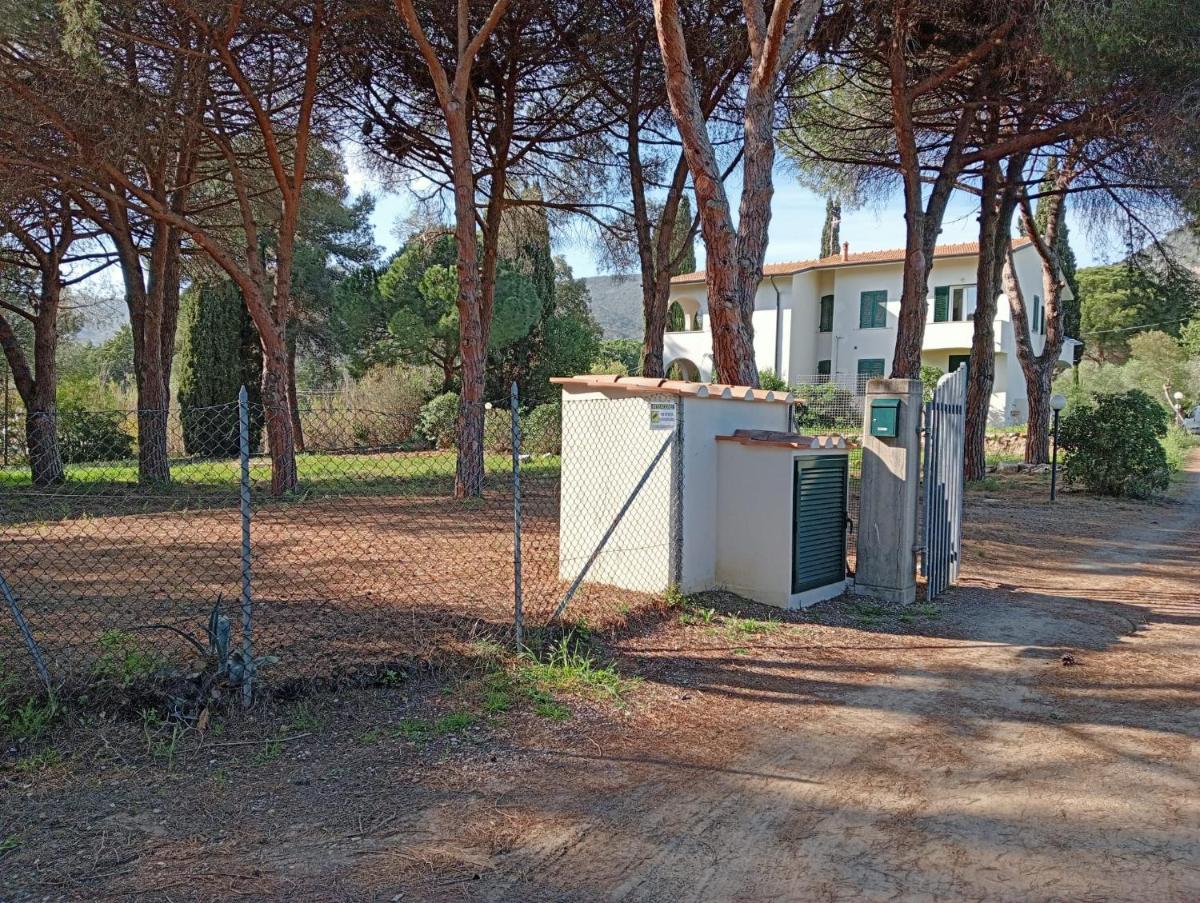 Riccio di Mare - Housity