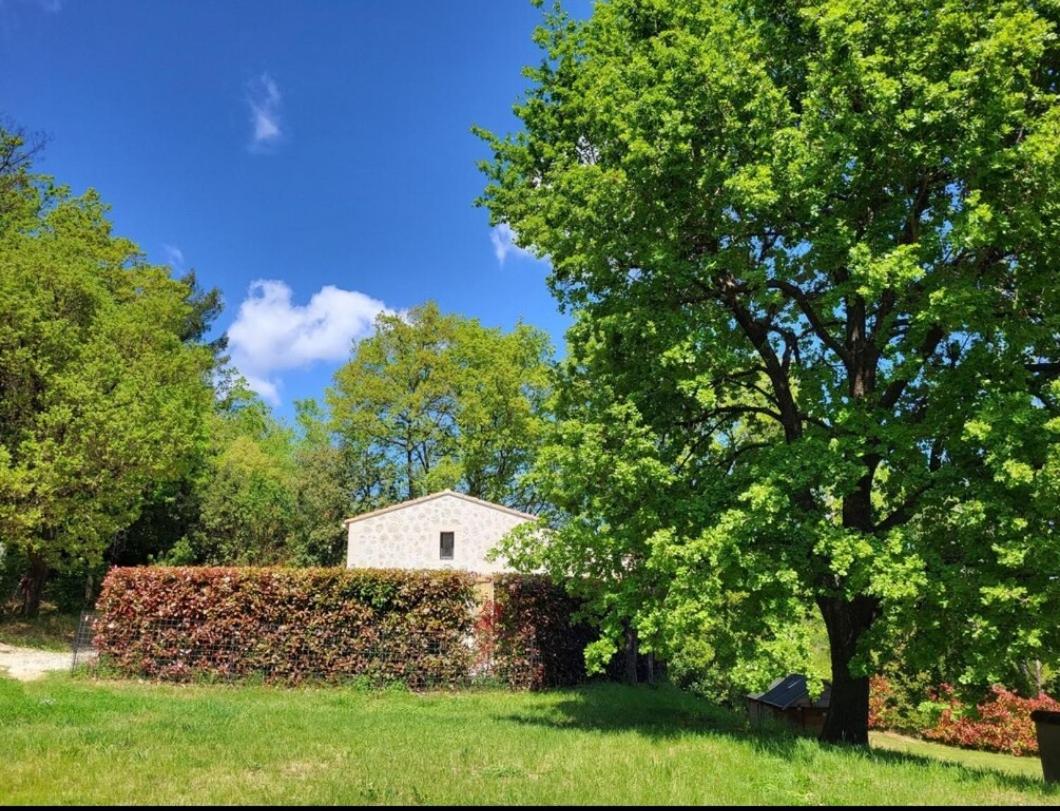 Maisonnette de campagne - Housity