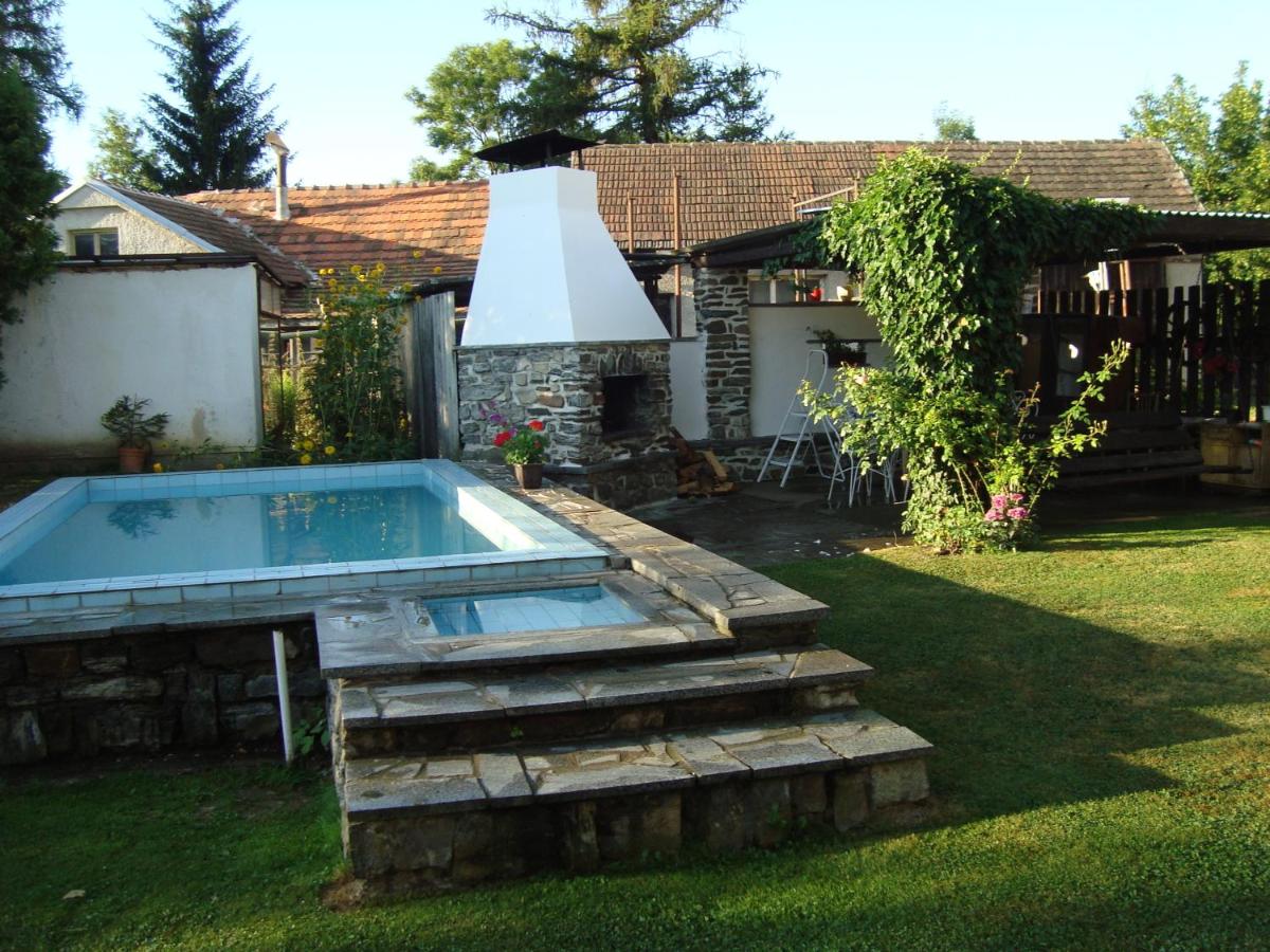 Privát Mirovice-Březnice - Housity