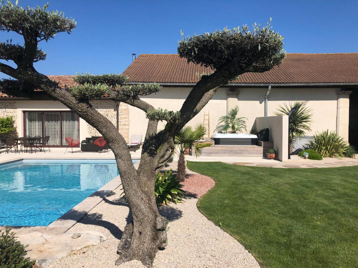 Le Vieux Platane - Housity