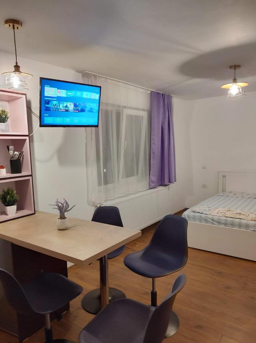 GARSONIERA DANIA&PETRU 1 - Housity