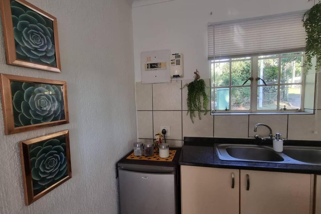 The Lowveld Aloe: Cosy 1 bedroom cottage with large pool - Housity