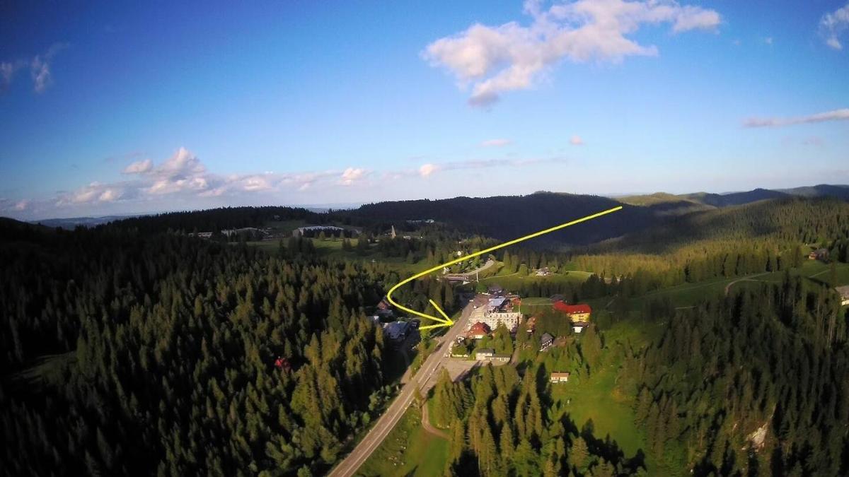 Ferienwohnung auf 1233m am Feldberg nur 20m zur Skilift/-piste, Wanderwegen und Bus - Housity