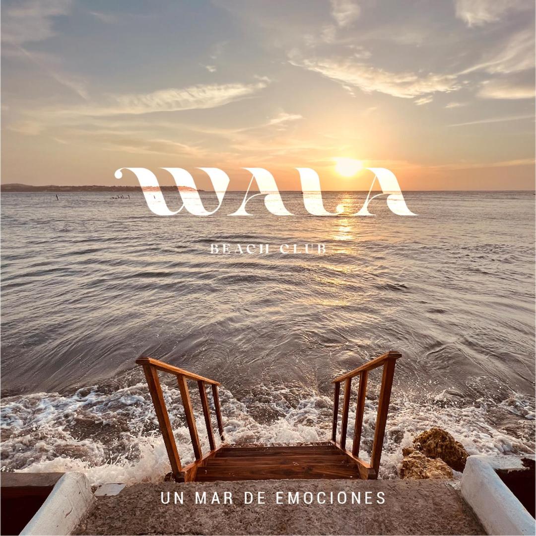 Wala beach club - Housity