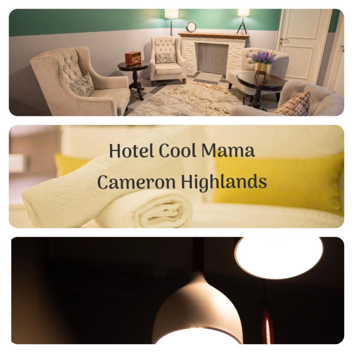 Hotel COOL MAMA - Housity