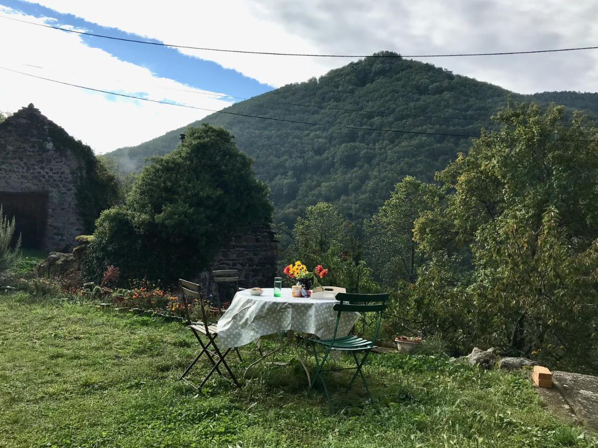 Pretty house en Auvergne - Housity