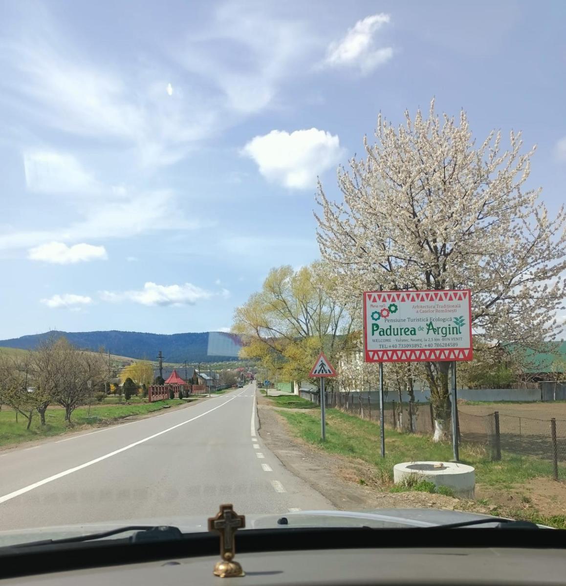 Padurea De Argint - Housity
