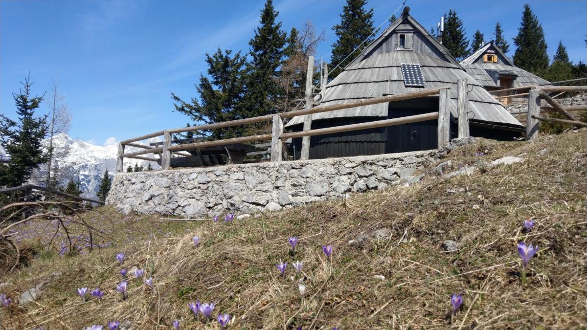 Chalet Resa - Velika planina - Housity