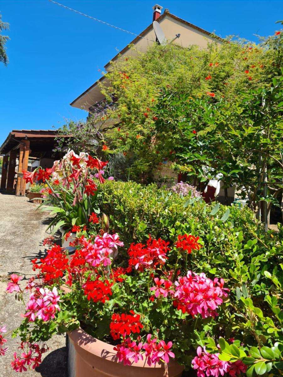 LA LIMONARA B&B - Housity