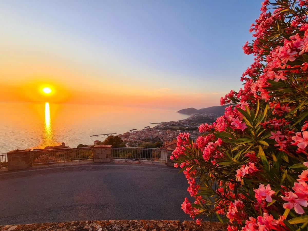 LA LIMONARA B&B - Housity