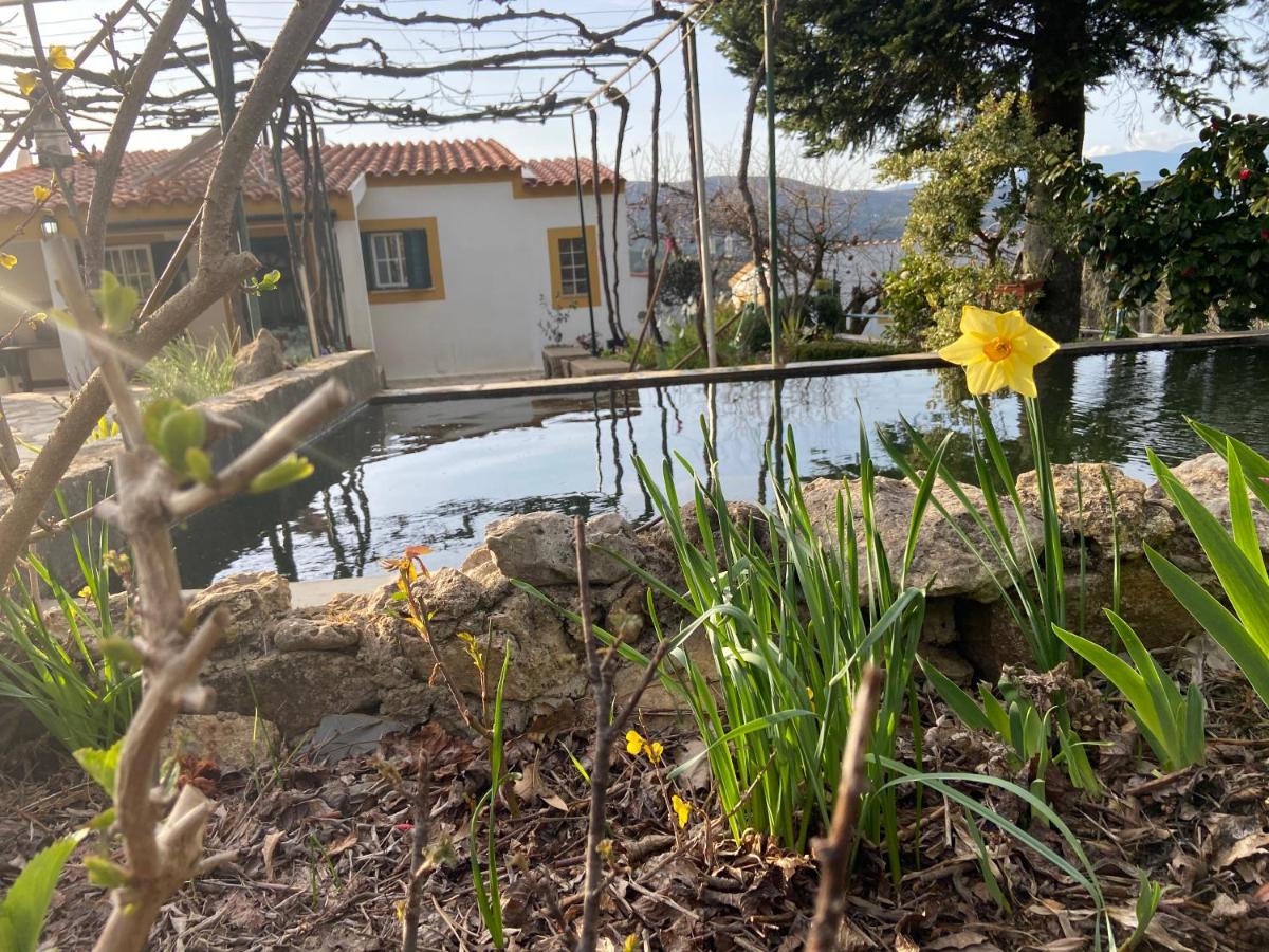 Casas de campo em cerejal - Housity