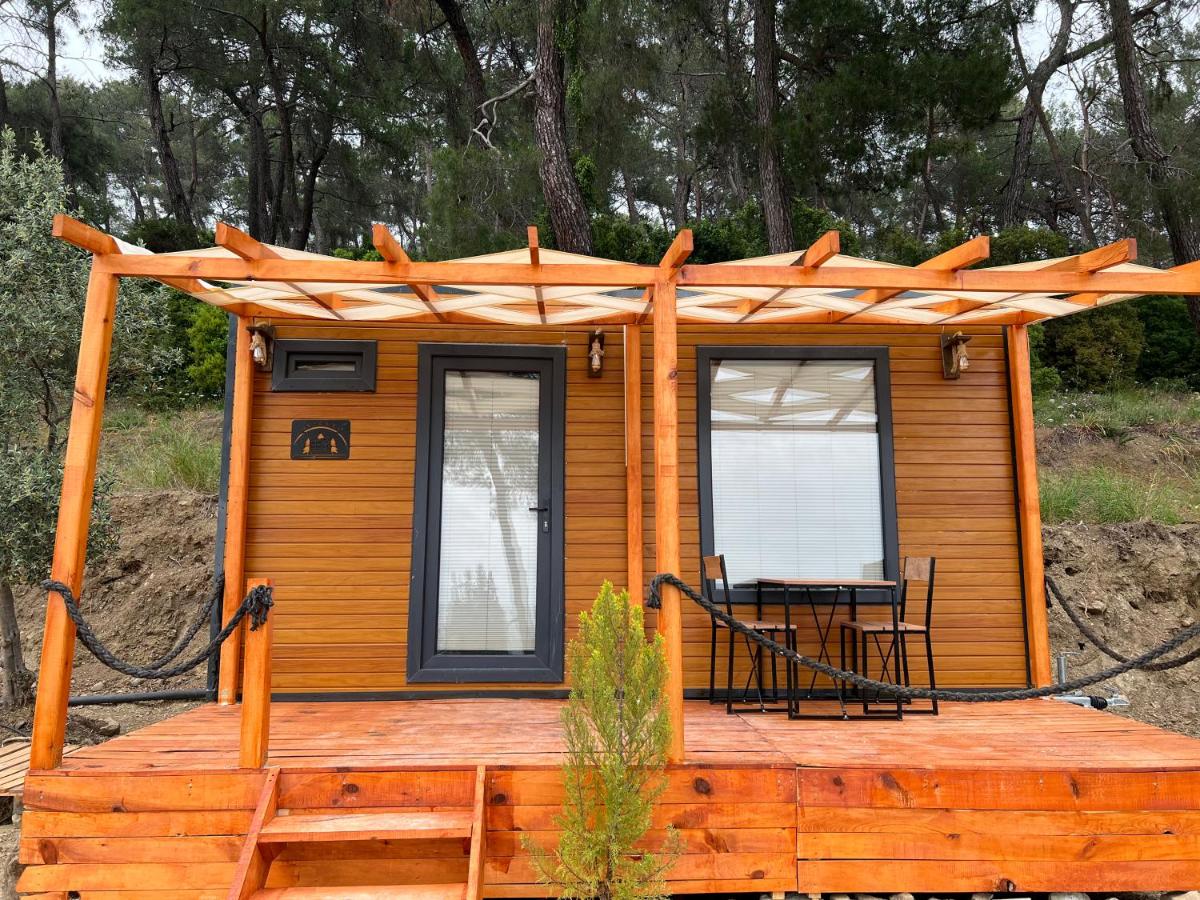 Tiny Mini House - Housity