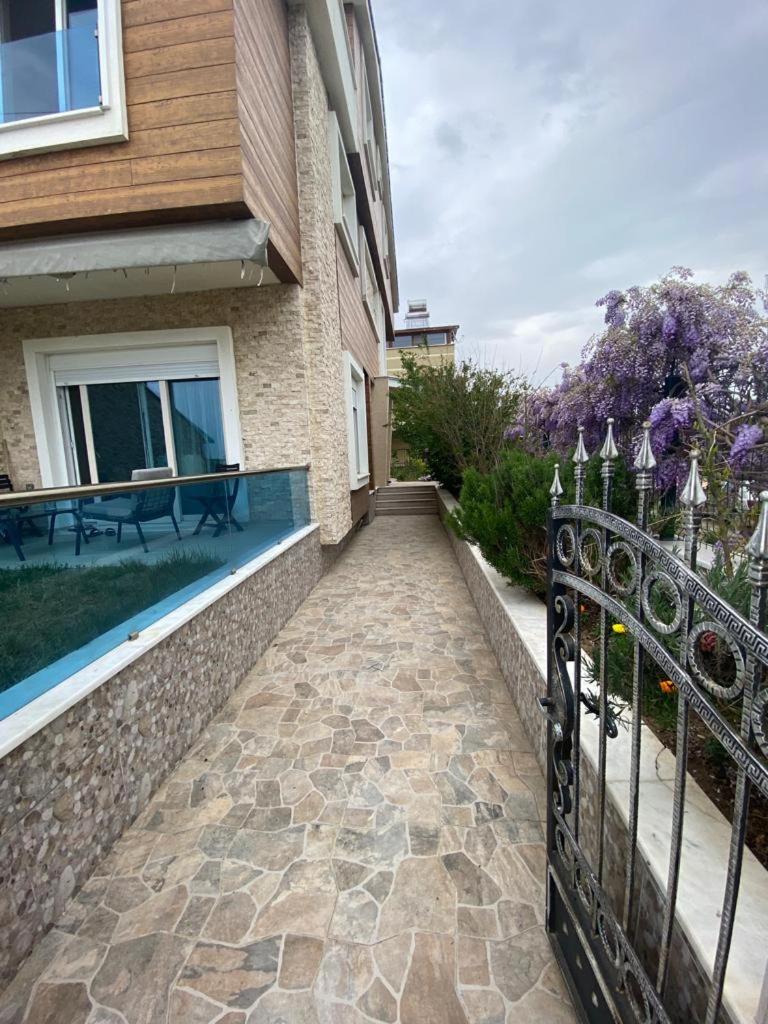 Villa Mete - Housity