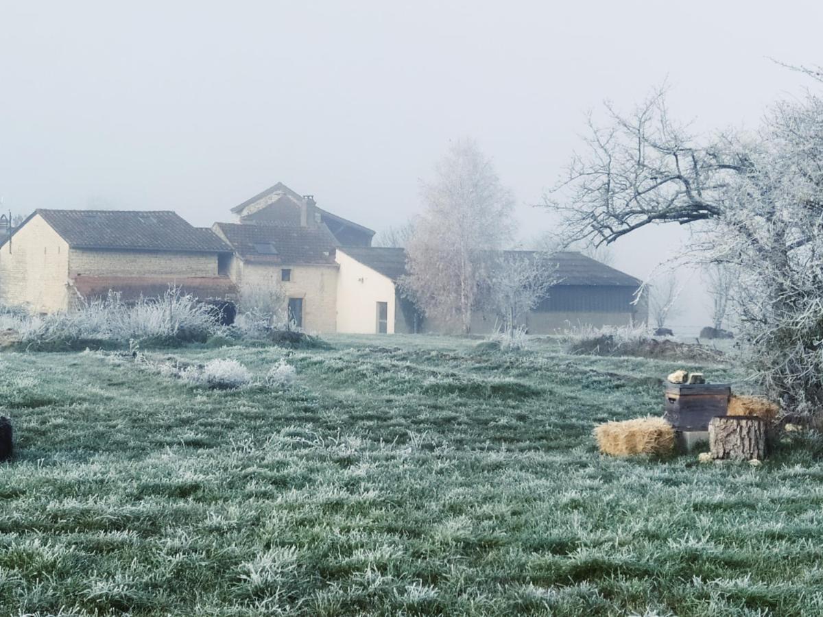 La Mezzabulle - Housity