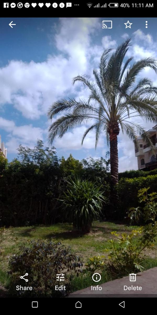 Hossam Mostafa villa - Housity