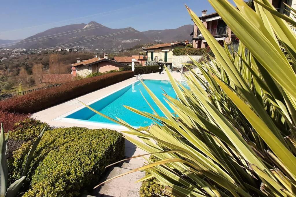Holiday House Sole - Housity
