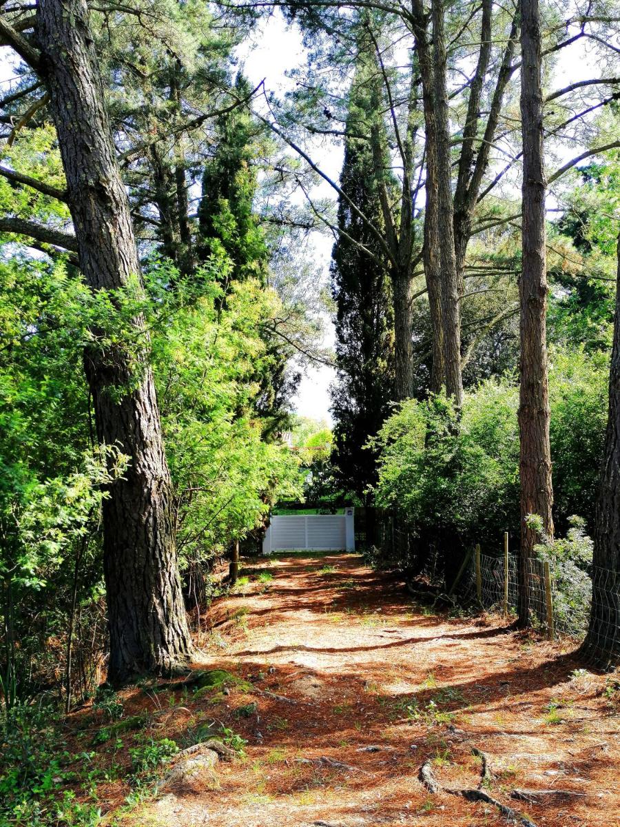Costa Brava Home & Garden - Housity