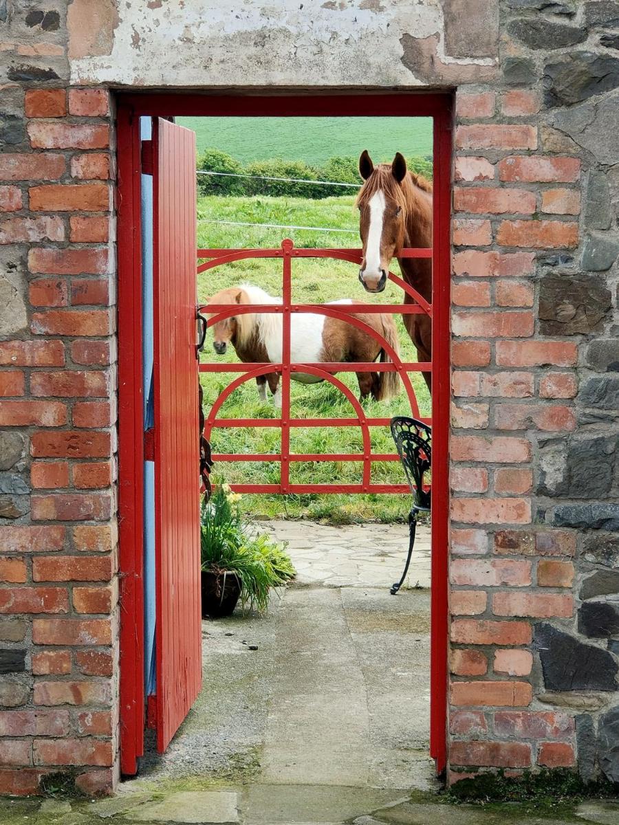 Horseshoe Cottage Greyabbey - Housity