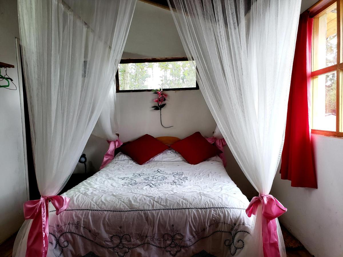 Hosteria Rose Cottage - Housity
