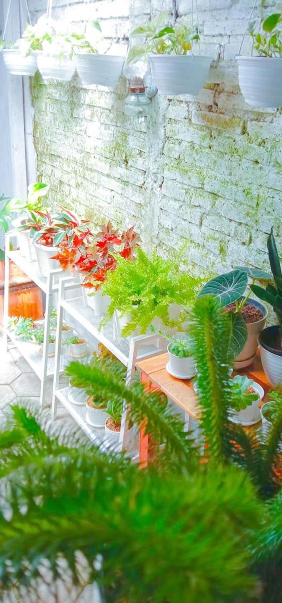 Pak Tasrip Homestay - Housity