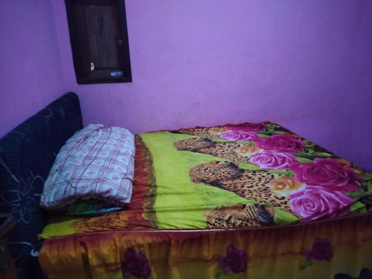 Kawah Ijen Guest House - Housity
