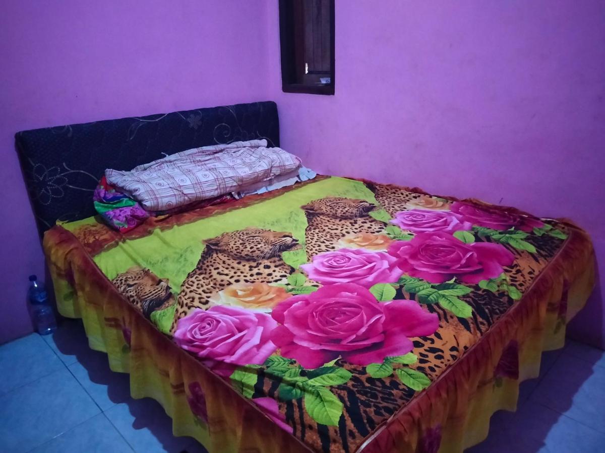 Kawah Ijen Guest House - Housity