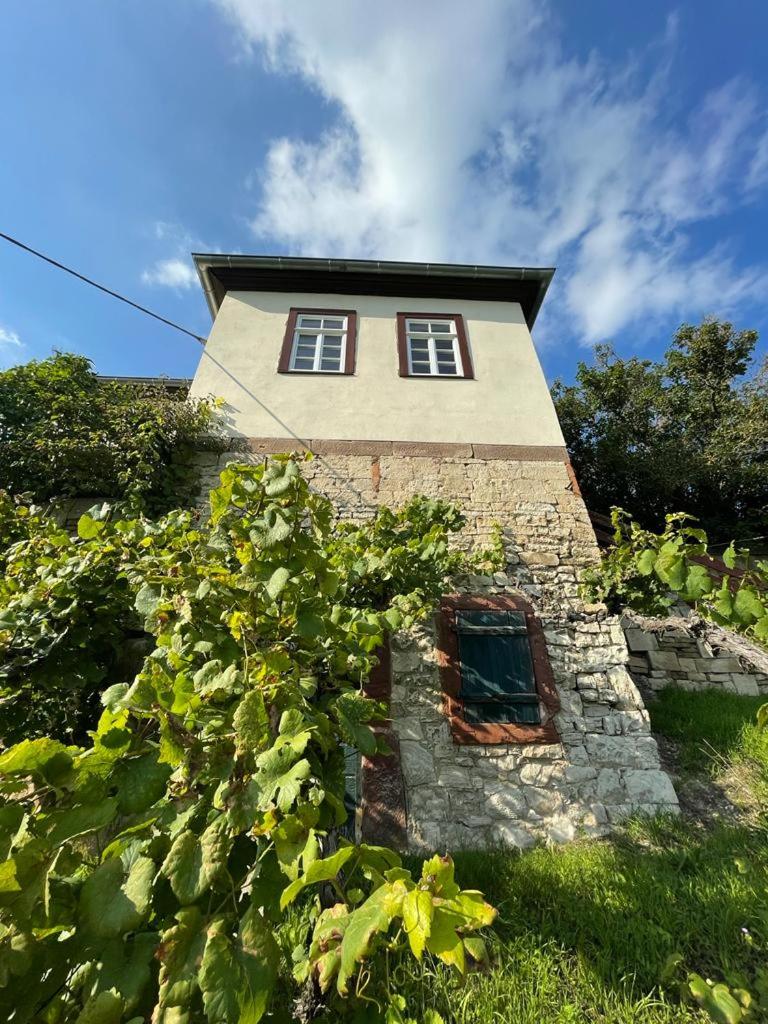 Ferienhaus Traminer im Weinberg - Housity