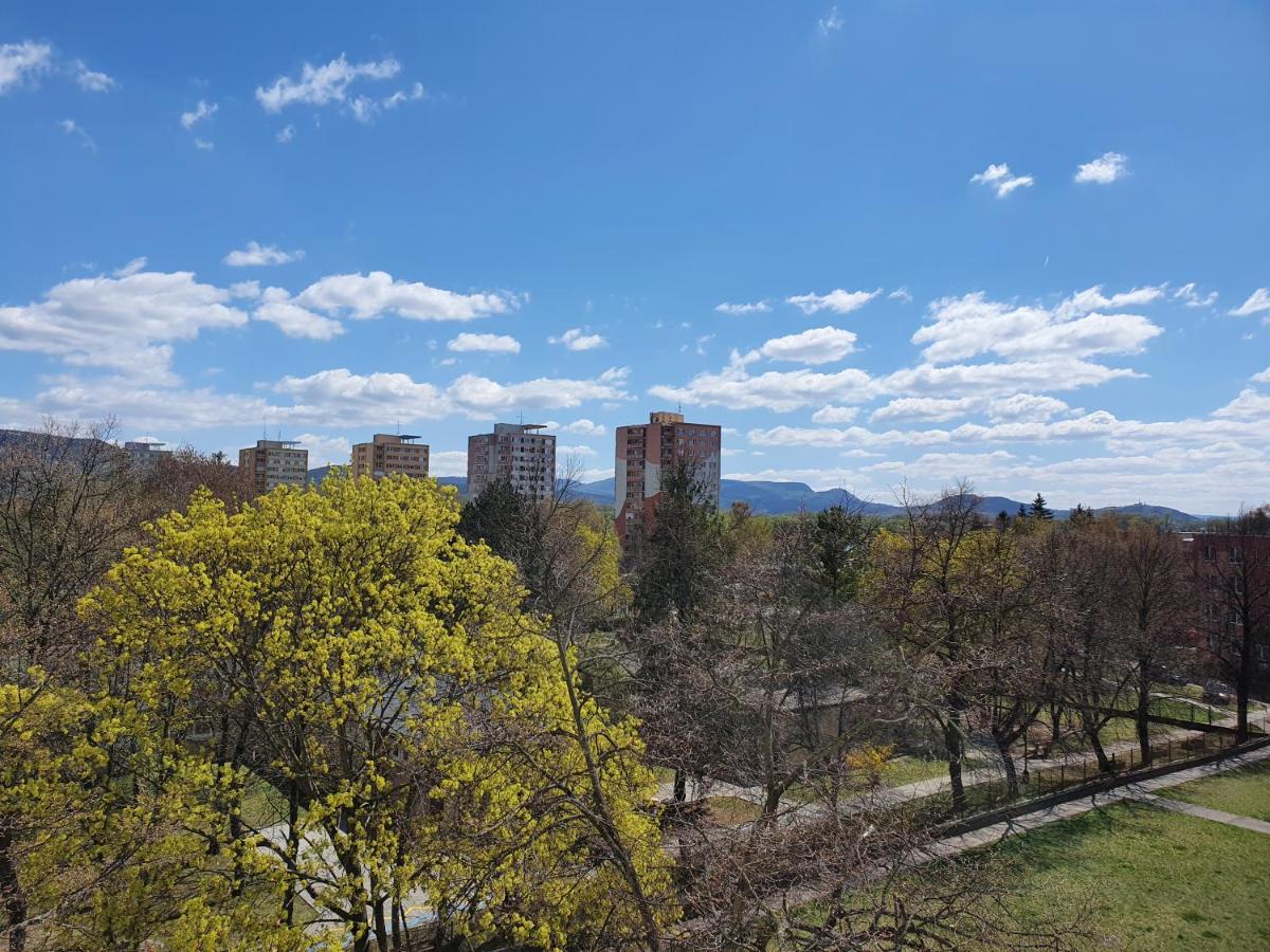 Bee welcome - Housity