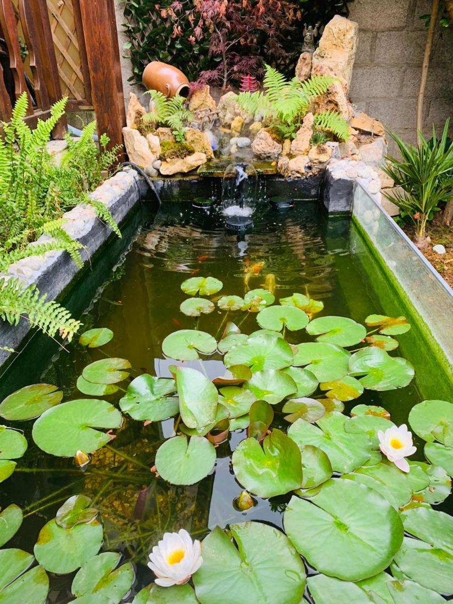 Joyeuse villa de 2 chambres avec jardin fleuri - Housity