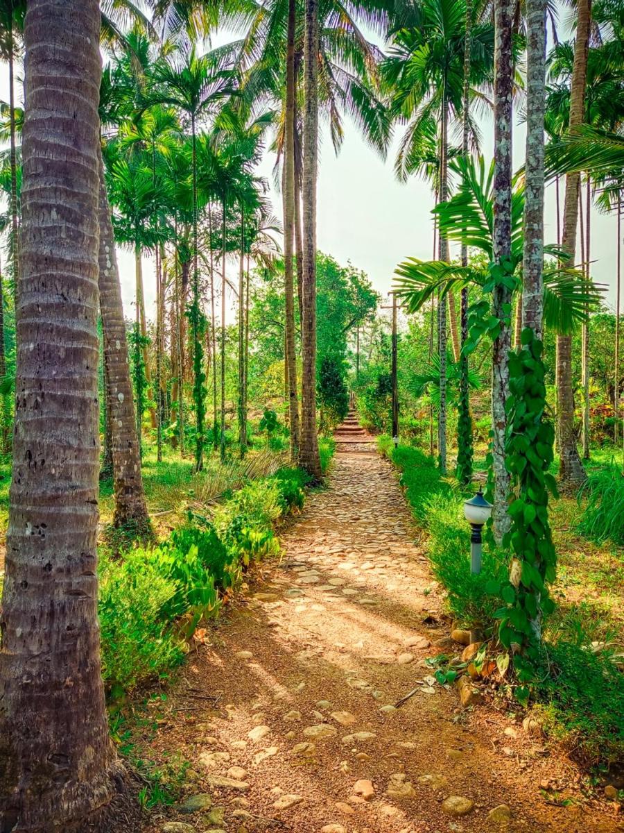 Nature's Nest Eco Resort Goa, Near Dudhsagar Waterfalls - Housity