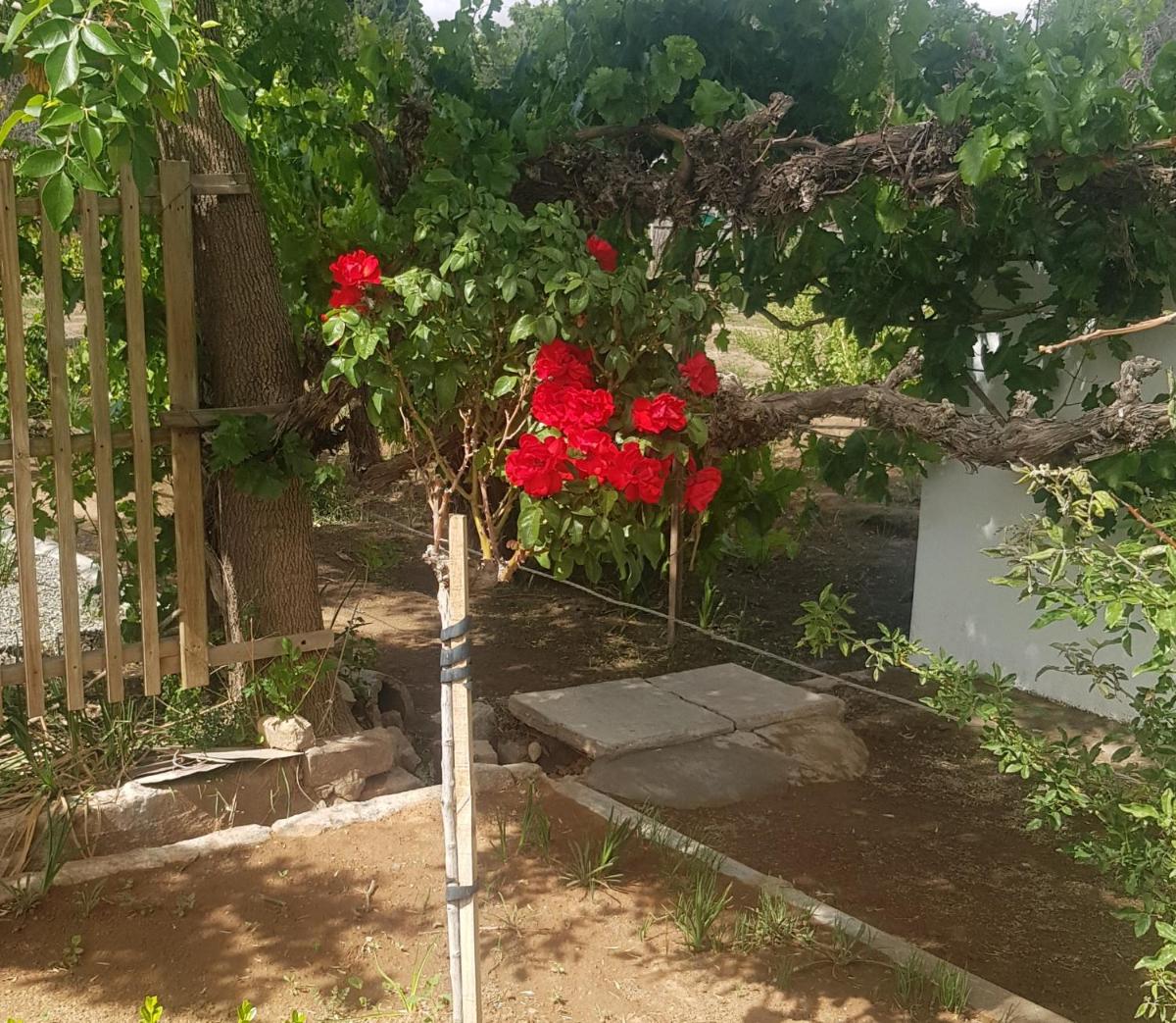 Karoo Manor Guesthouse and Restaurant - Housity