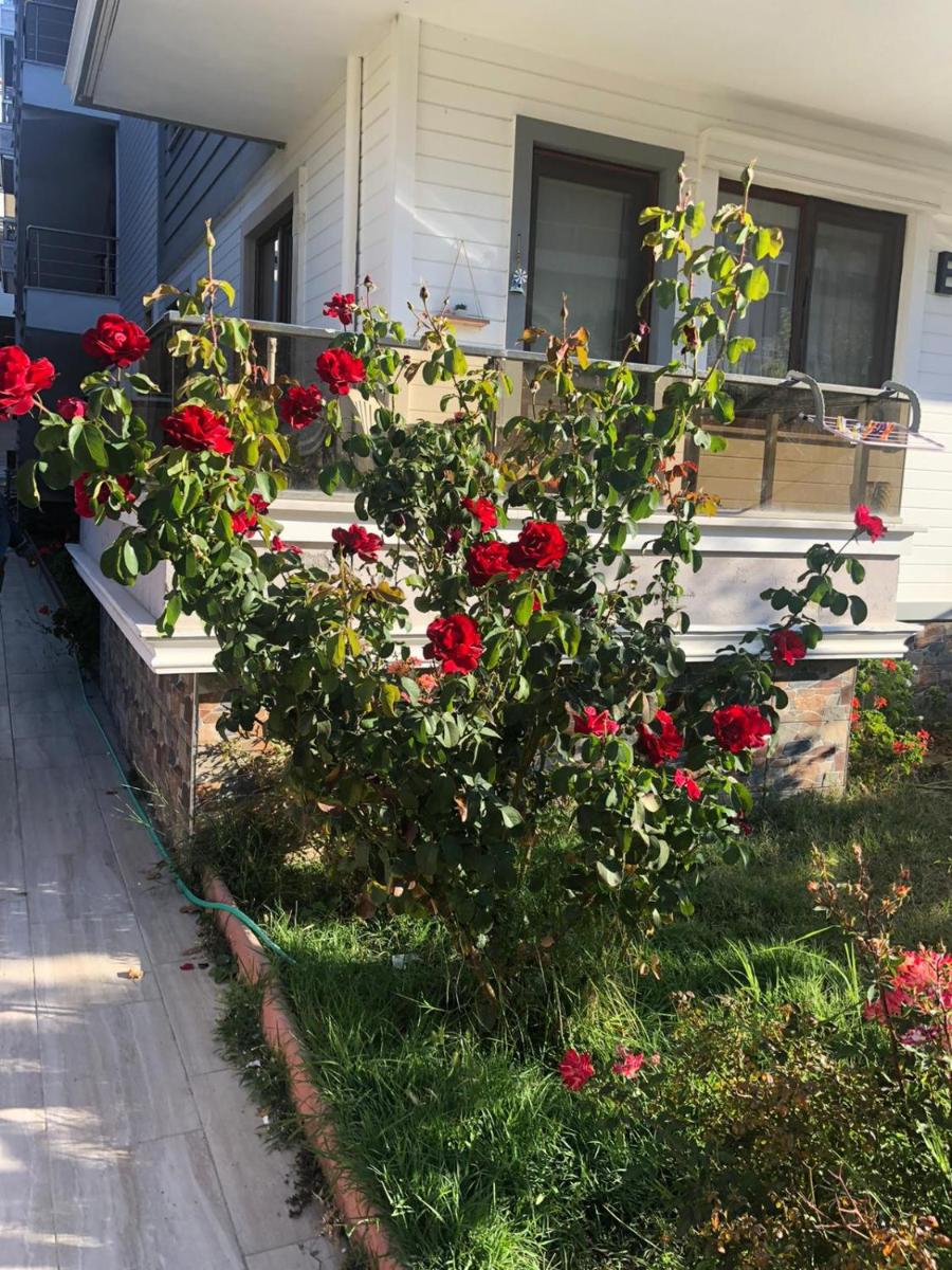 Summer house with mountain view, 10 minutes walking distance from the sea - Housity