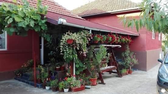 Casa Duma - Housity