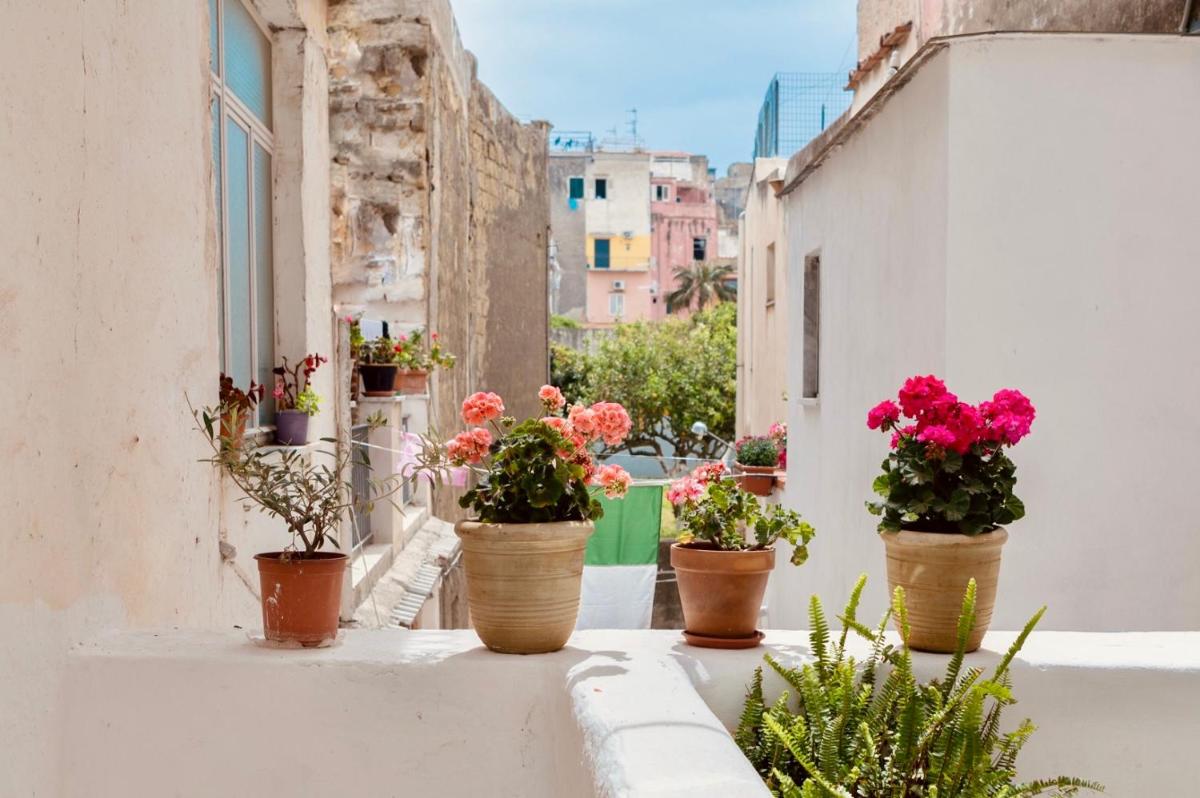 Il Riccio Apartment 28 - Housity