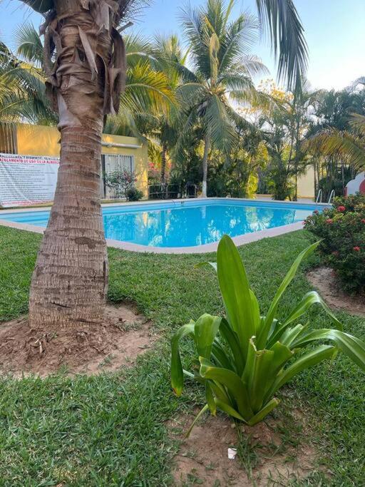 New Home Sol, Mar y Arena Ixtapa. - Housity