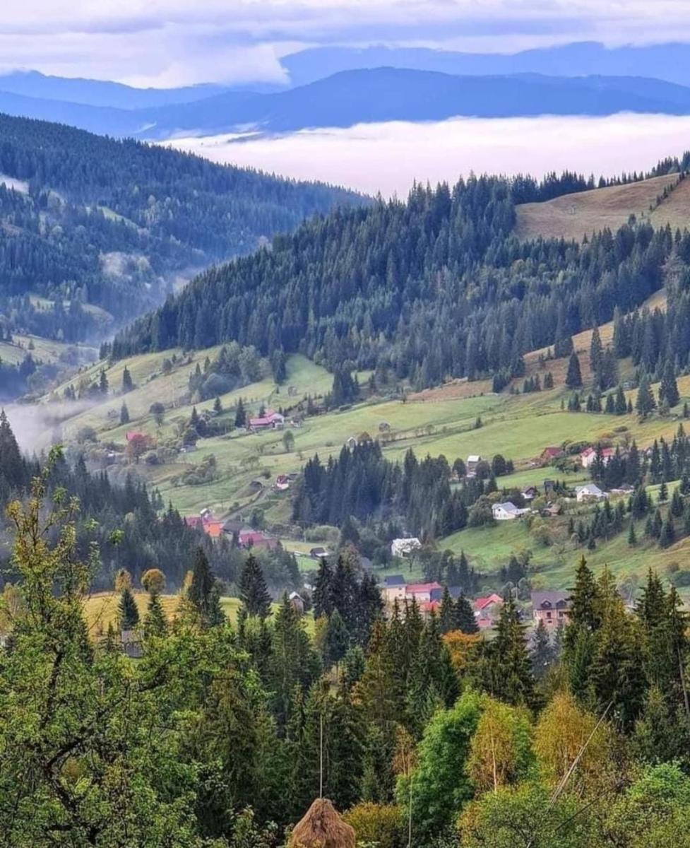 Pensiunea Casa Fierarul din Bucovina - Housity