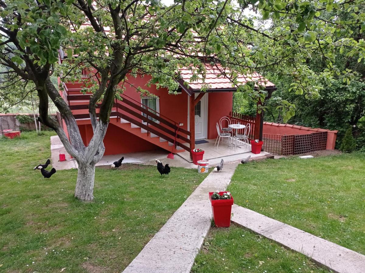Lazarev konak apartman kucica - Housity