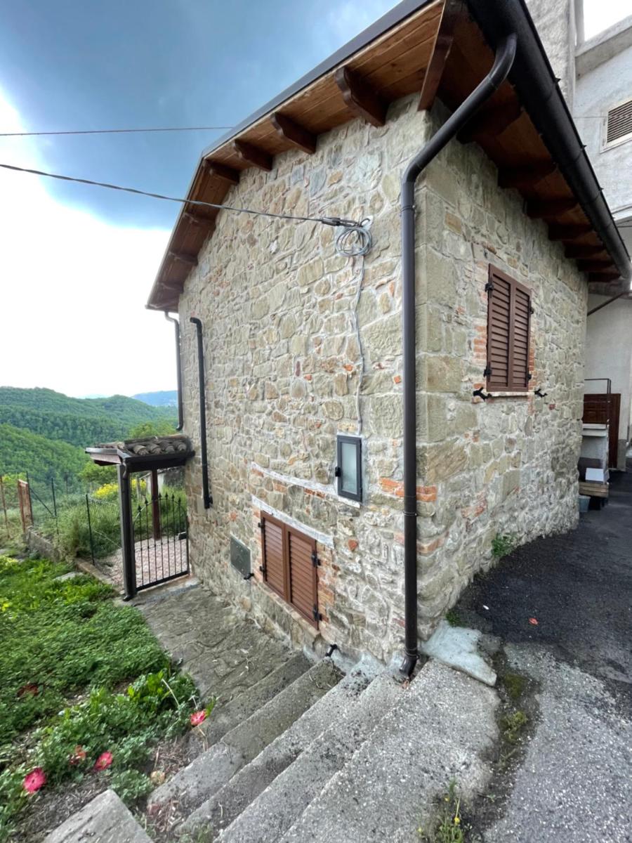 House Rubina - Housity