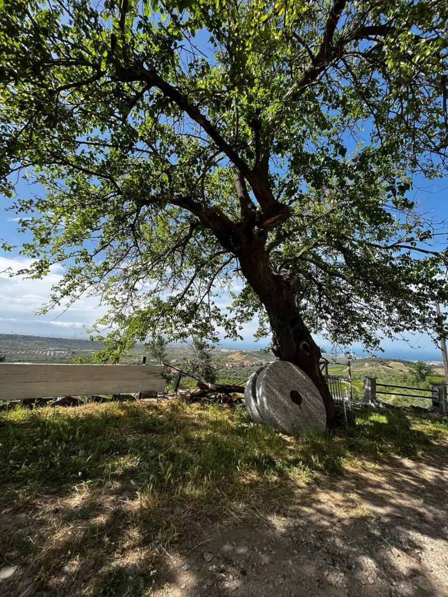 Casa Maria Host Green - Casa vacanze - Rossano - Housity