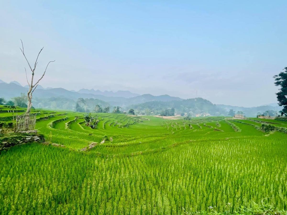 Bo ruong Homestay - Housity