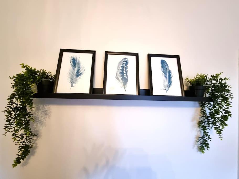 Beautiful & Vibrant City Centre House - Housity