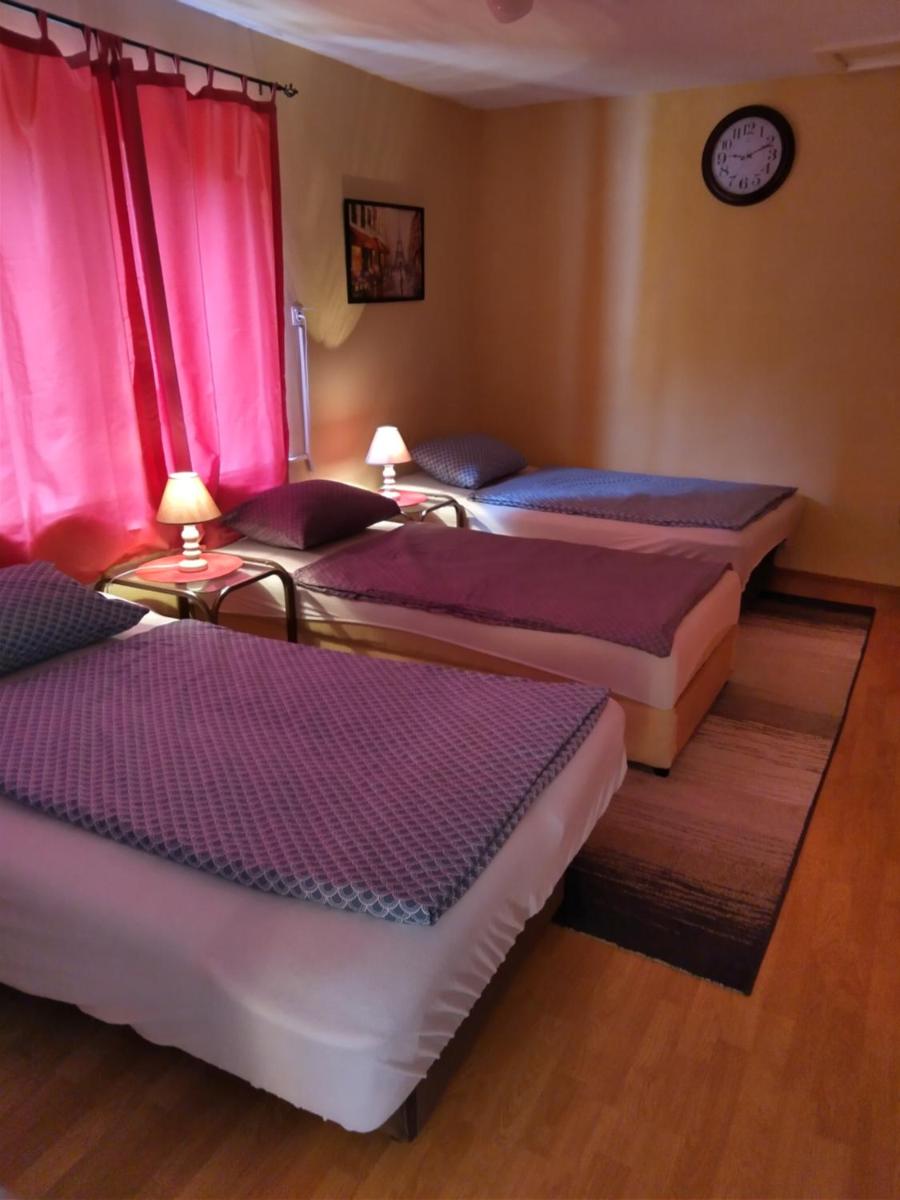 Apartment Exotic Garden - Housity