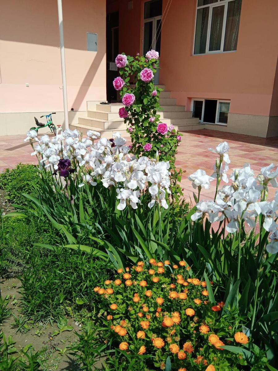 YOKUB Guest House - Housity