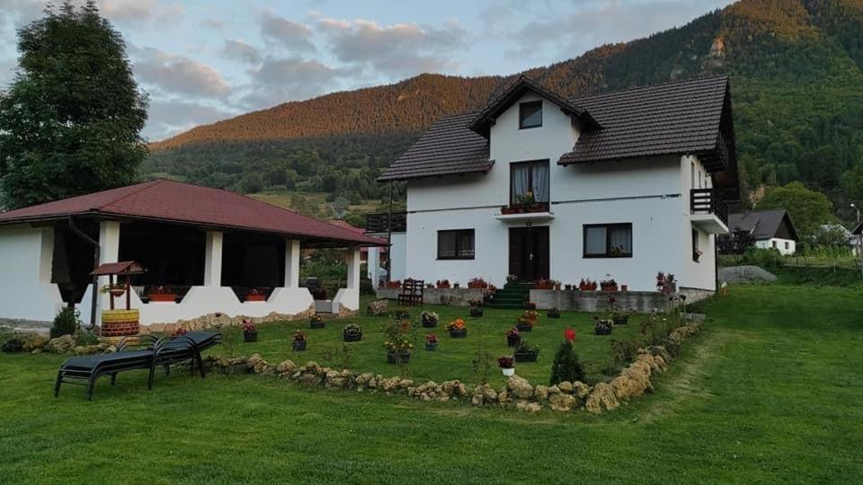 Casa Netotea - Housity