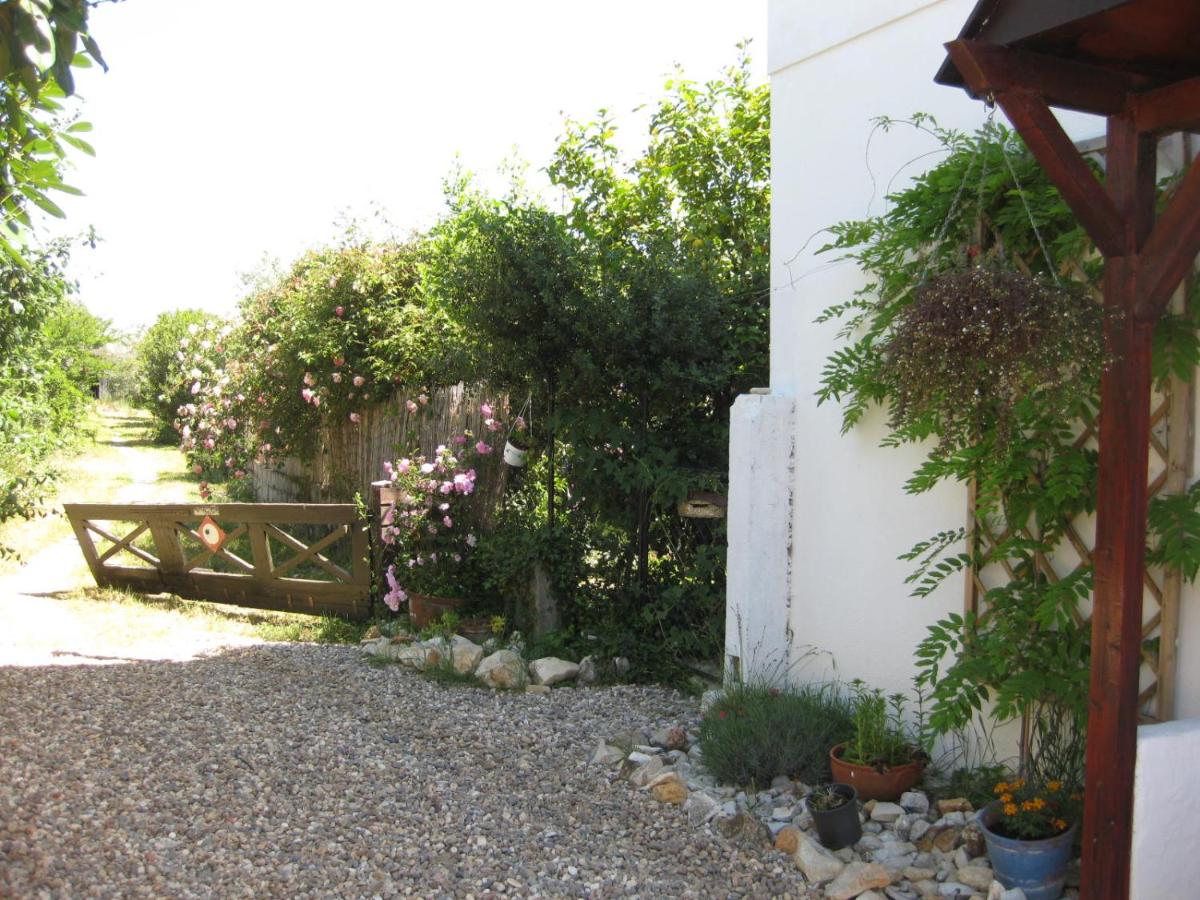 Quinta dos Church - Housity