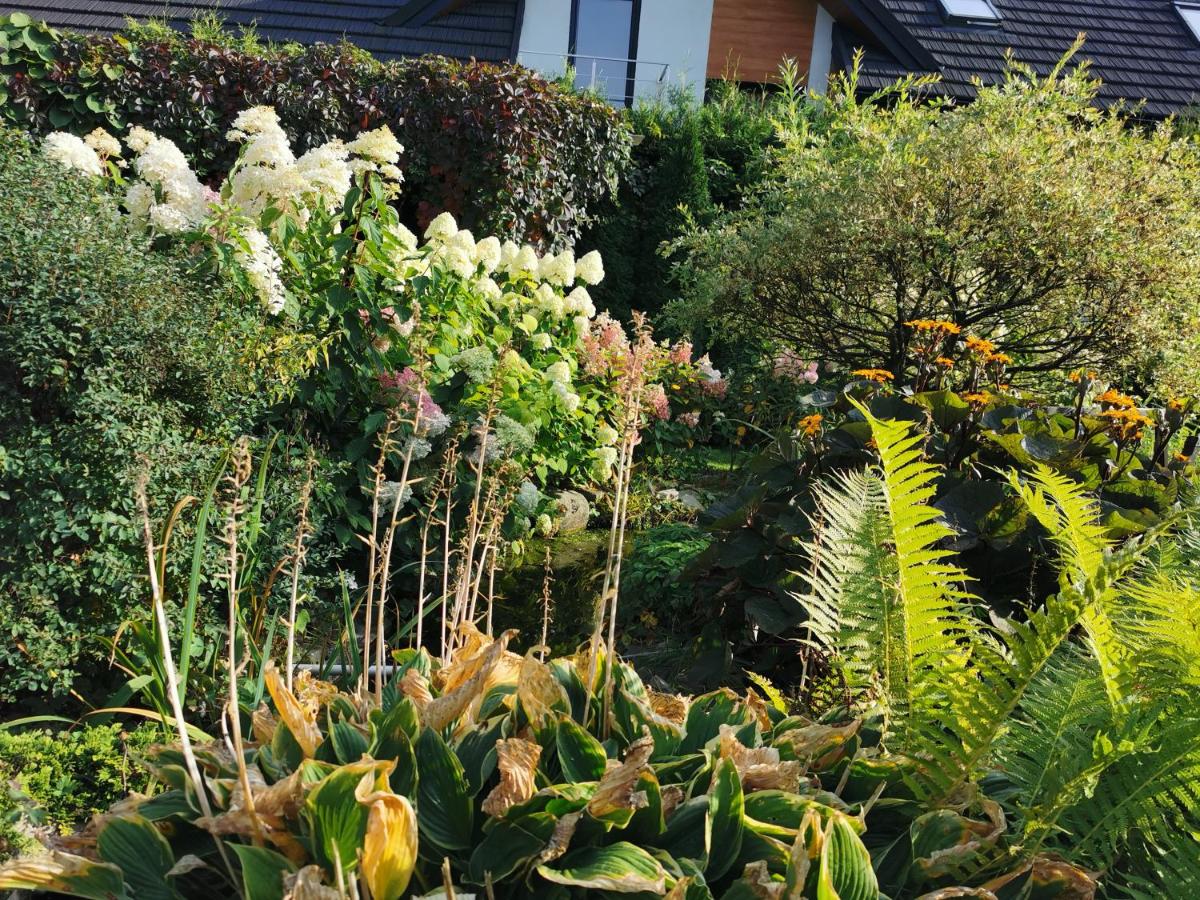 zielony zakątek - Housity