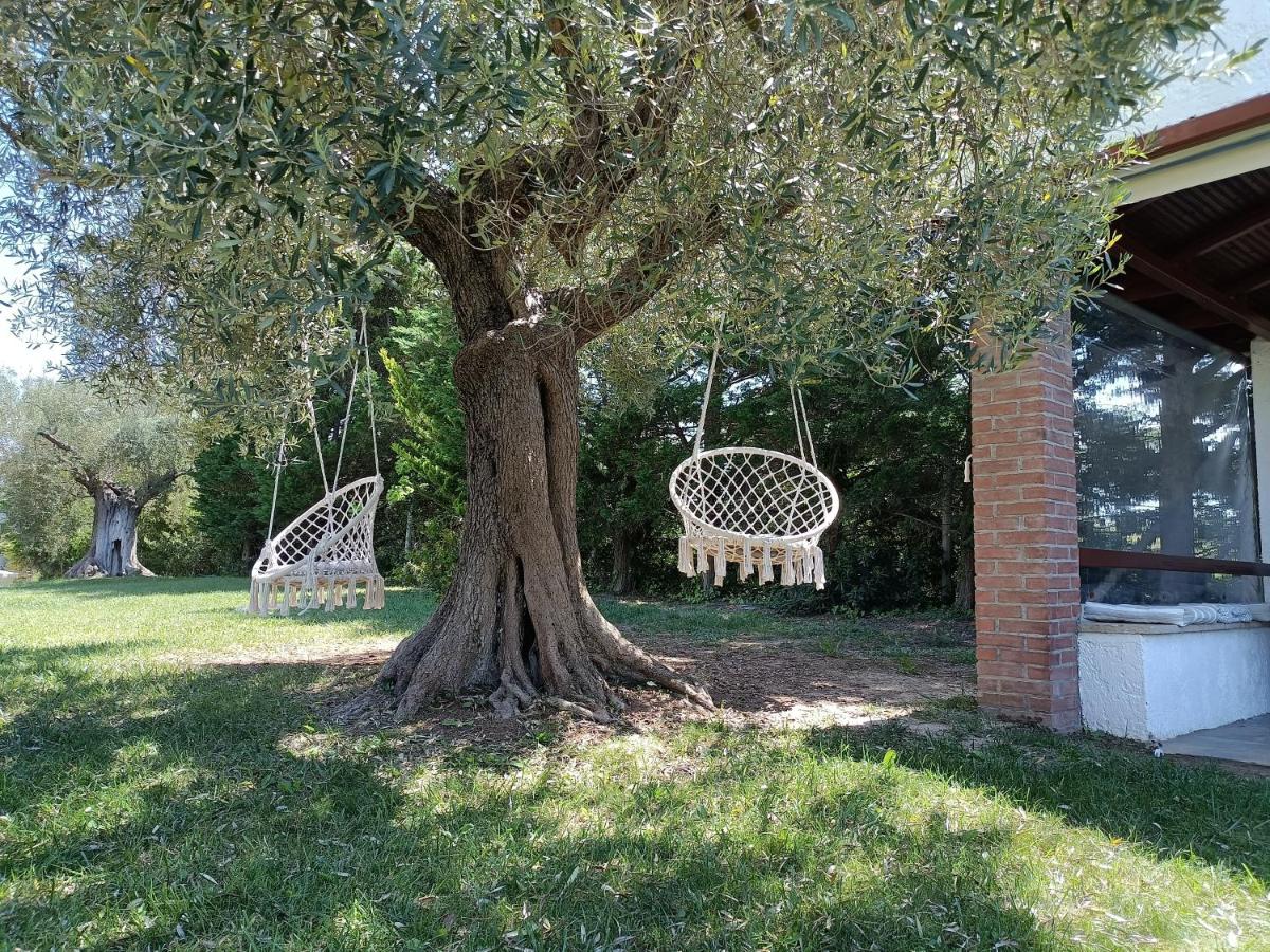 Marios Garden House - Housity