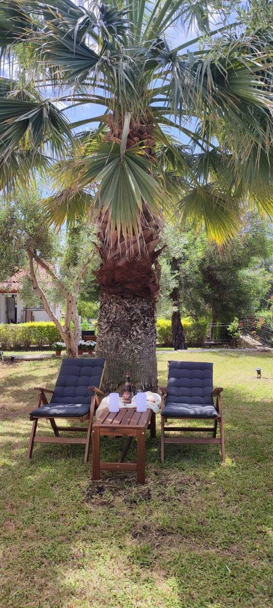 Villa Βianca in Sithonia - Housity